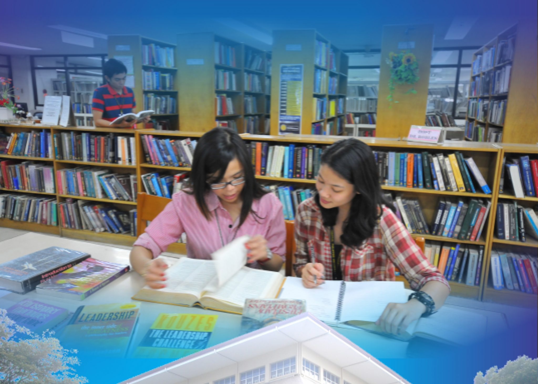 You are currently viewing MLIS-TL Brochure
